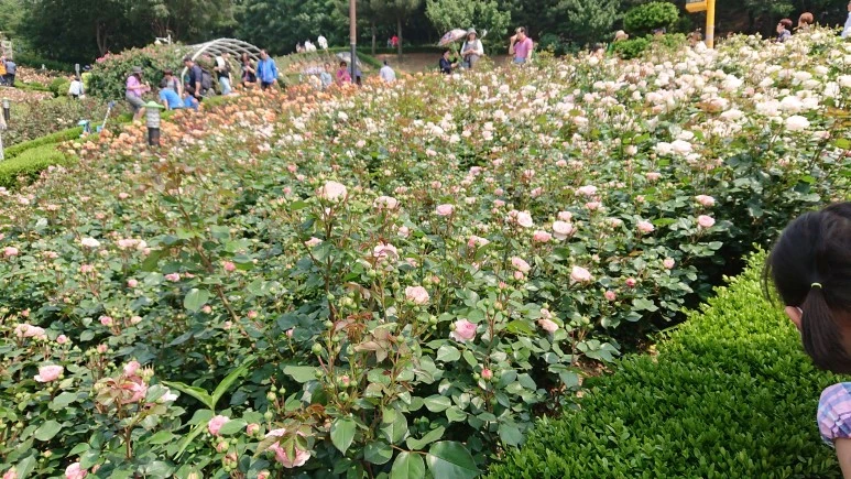 DSC_0258.JPG?type=w773