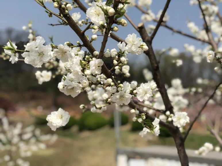 IMG_4773.JPG?type=w773