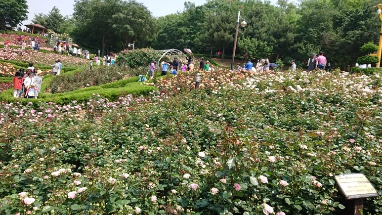 DSC_0256.JPG?type=w773