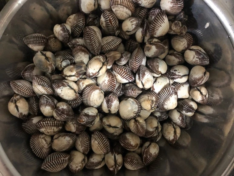 image_5756525771543677741600.jpg?type=w773