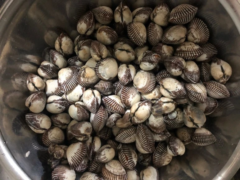 image_7787201861543677000945.jpg?type=w773