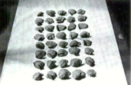 hBNSNfTWmM0GcMLGnRXC_HP9v2MEfXlDyauv1mBN4cHby8jnLw77ajuhbRom7OuewZzMfAqb6K2ZHwIPTv7j5btS_GMvhvzANz_1siGmFfDoB-sxN5n4CkdHjXD0FmfYa4dpzYQ65HUI6HvHzQ