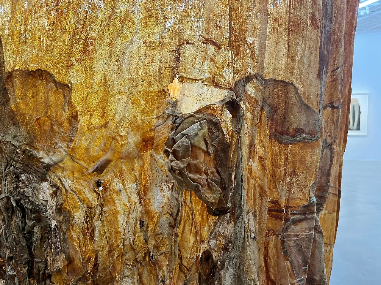 하우디부허 (3).JPG