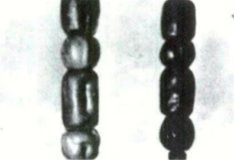 KSNUVmHbuLqcjmDuMvUtU5iZYCLR8O2QFdCwu53OP88bkyLd3nf4eXSxV3jOBWifw-CtM0J131u3sYNmzY6xp4xUsKnsQrUddvyjy9Z7VIRCMBPHFcM56K0kT0K66g6V2ZZQx1EODq74FjE85A