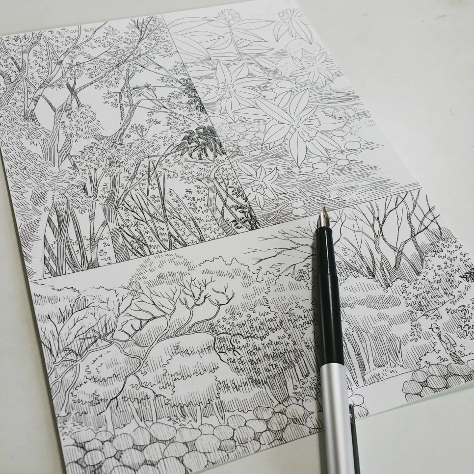 IMG_20160611_153839_Original.jpg?type=w966