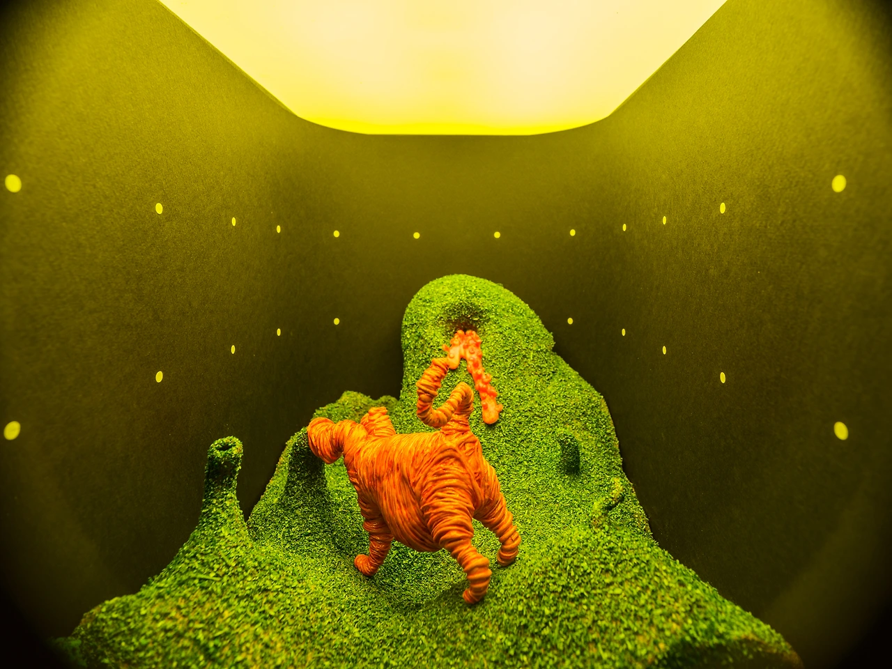 006_노승표_뜰_the garden.jpeg