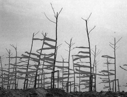 pCV_u-aUpZnySqbg04ujqA864lhdoG4vtJPkAifFgWMr51Frq5eZA5fSCvYLAdwJpeWDe0Ze6XKFPz2QqTjeNnAJWCv05v-oL3Ghtbu5OtRpTGoPcUFHPle0fNwpAgZRLujwLtFJNuBWA_5ZAQ