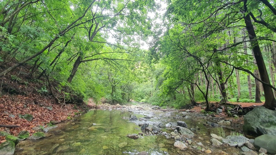 20210615_165432.jpg?type=w1