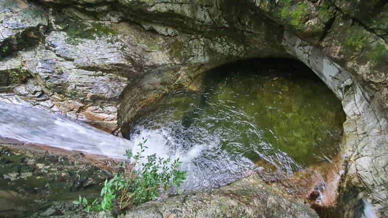 20200912_083832.jpg?type=w773