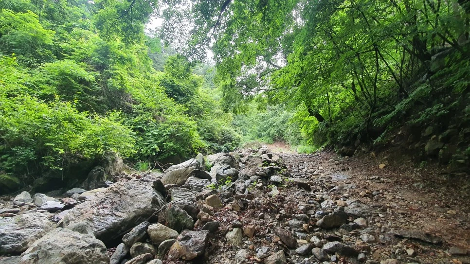 20210615_164040.jpg?type=w966