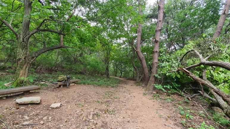 20200911_160454.jpg?type=w773