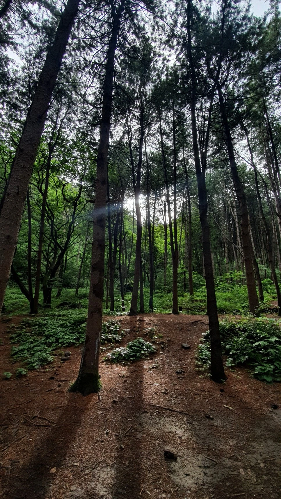 20210615_170153.jpg?type=w966