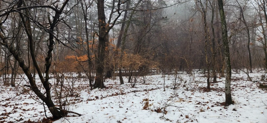 20230113_124018.jpg?type=w1