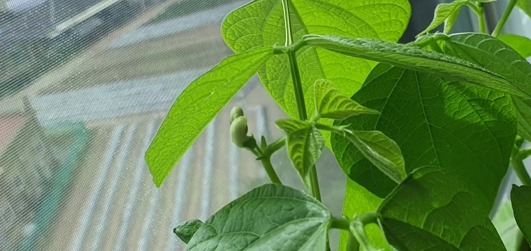 20220326_144646.jpg?type=w773