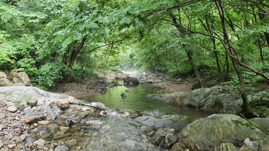 20210615_163829.jpg?type=w1