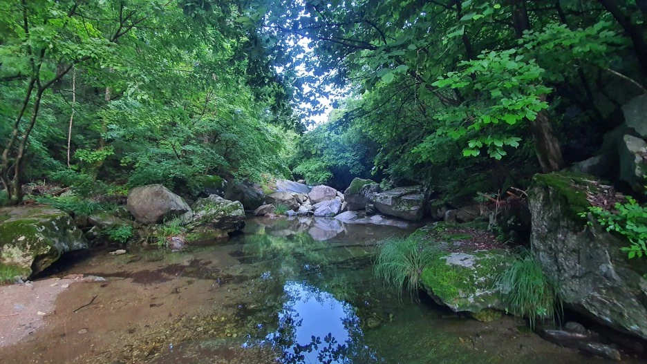 20210616_062910.jpg?type=w1