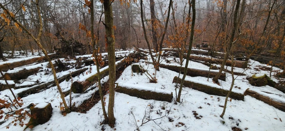 20230113_124058.jpg?type=w1