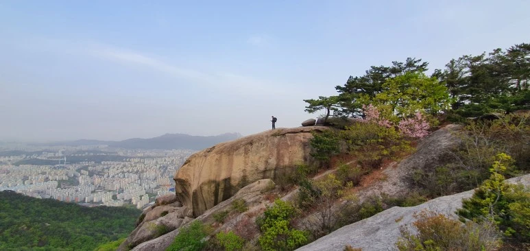 1618617119791-16.jpg?type=w773