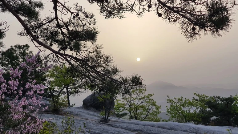 20210417_062216.jpg?type=w773