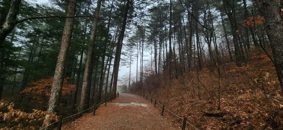 20230113_130221.jpg?type=w1