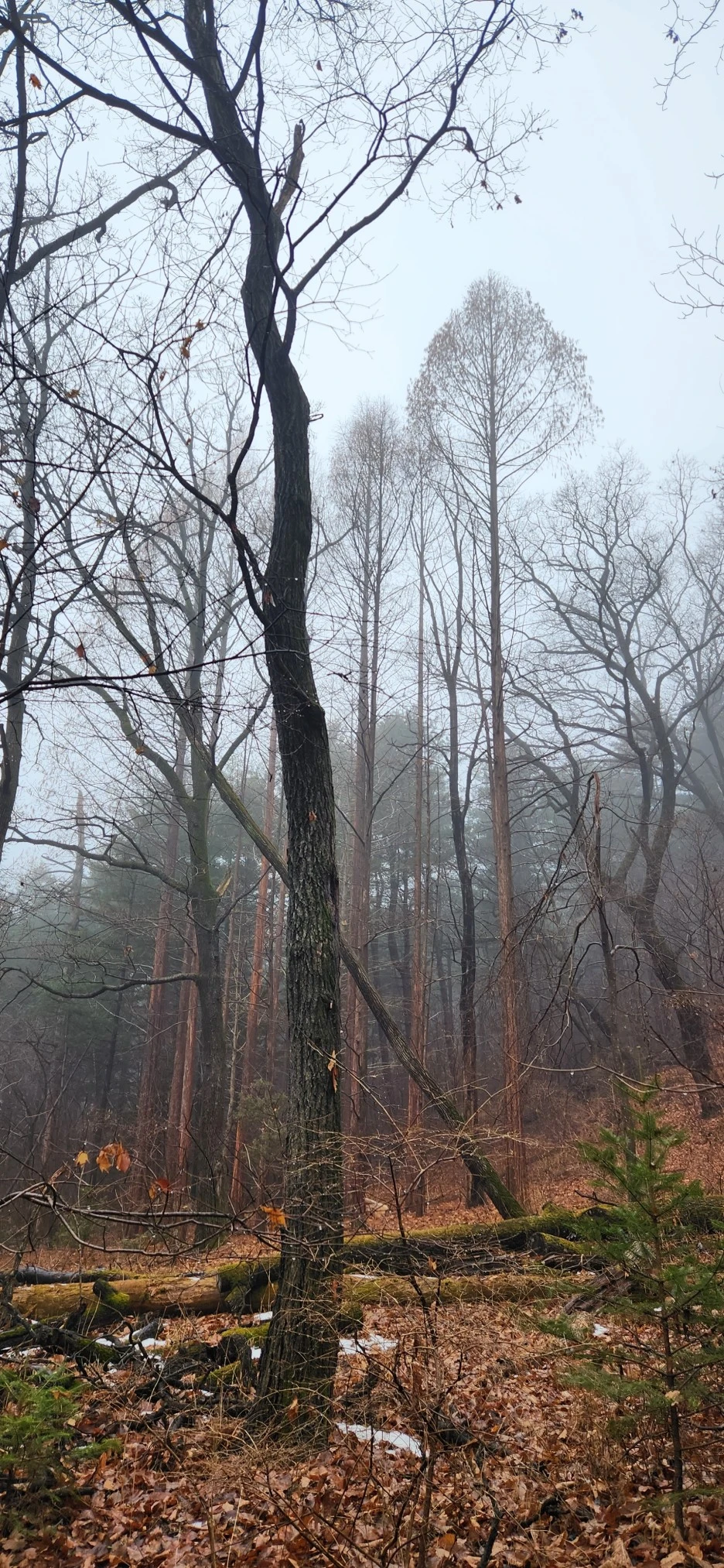 20230113_124410.jpg?type=w1