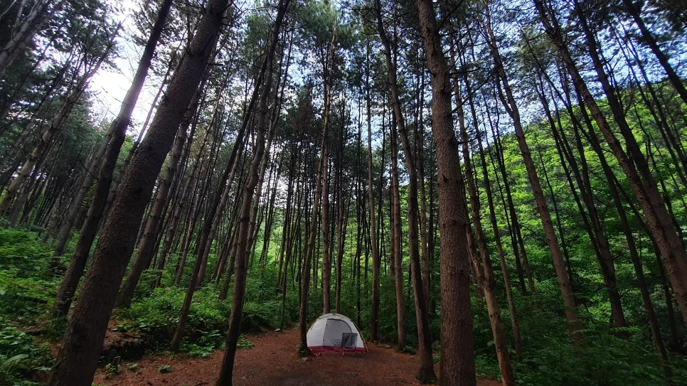 20210615_173857.jpg?type=w966