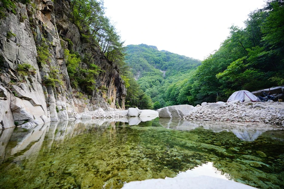 _DSC4293.jpg?type=w1