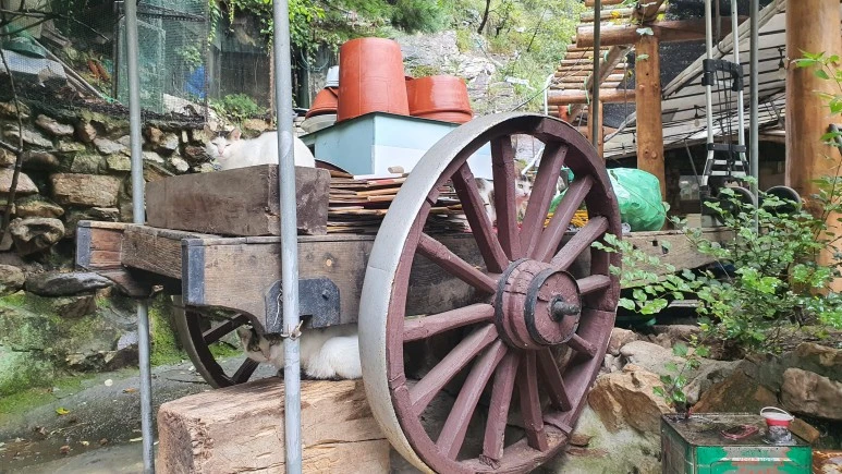 20200912_090437.jpg?type=w773