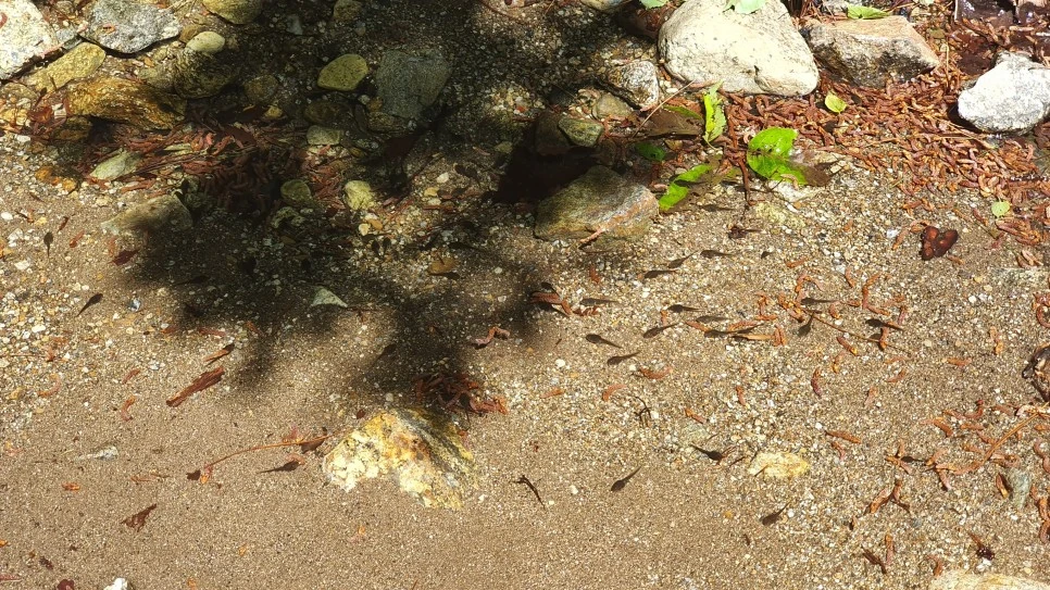 20210616_111927.jpg?type=w966