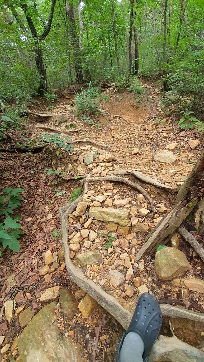 20200911_155448.jpg?type=w773