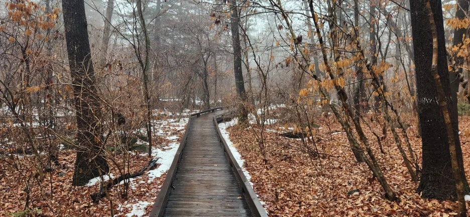 20230113_123754.jpg?type=w1