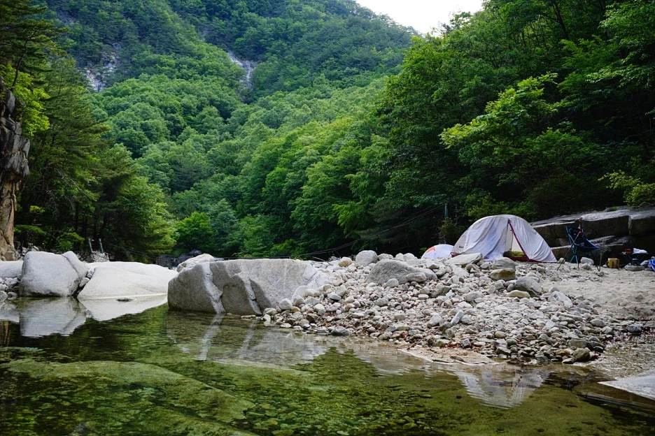 _DSC4353.jpg?type=w1