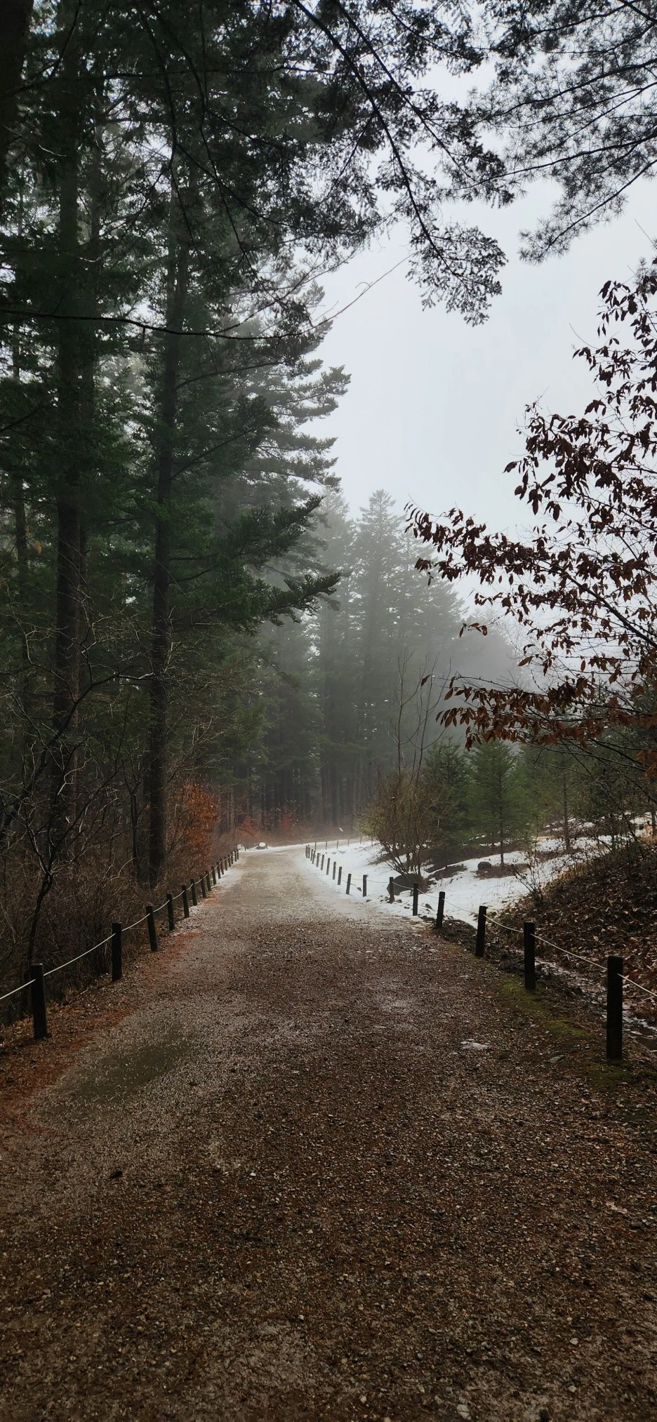 20230113_130255.jpg?type=w1