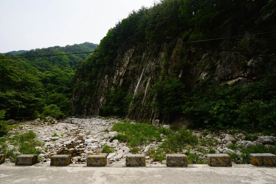 _DSC3901.jpg?type=w1