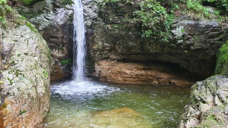 20200912_084433.jpg?type=w773