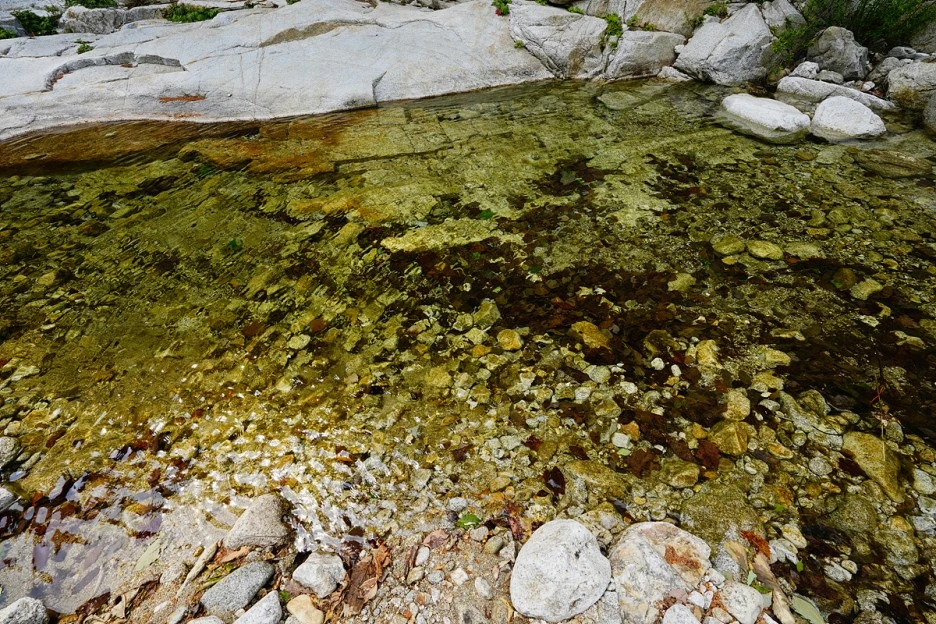 _DSC3934.jpg?type=w1