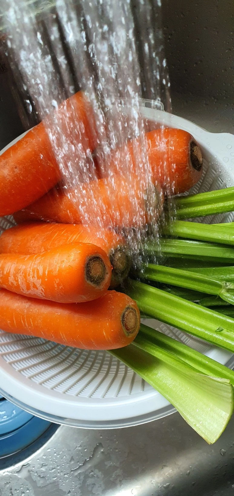 20220325_144851.jpg?type=w773