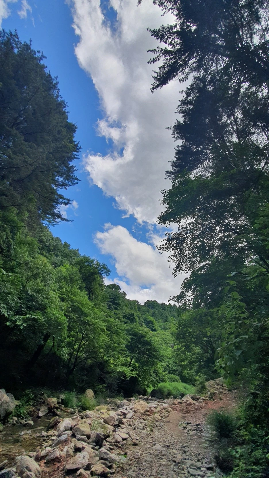 20210616_111149.jpg?type=w1