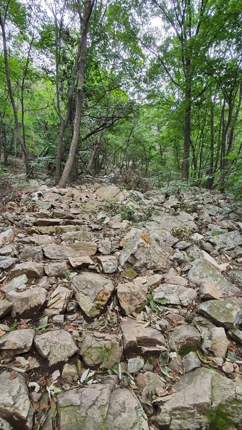 20200911_160953.jpg?type=w773