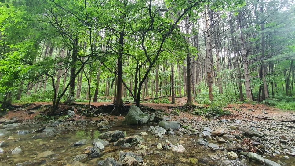 20210615_165508.jpg?type=w966