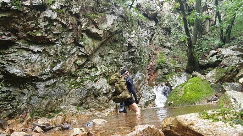 VideoCapture_20200912-082734.jpg?type=w773