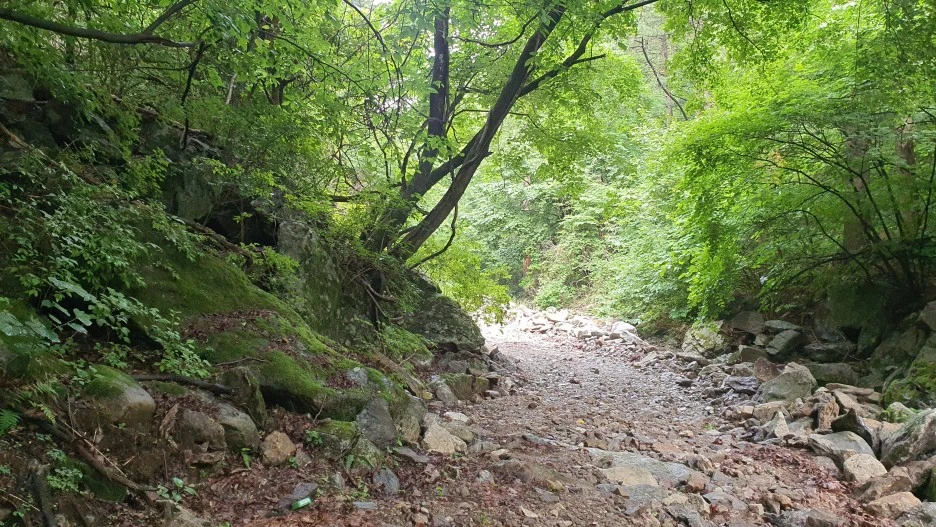 20210615_164031.jpg?type=w1