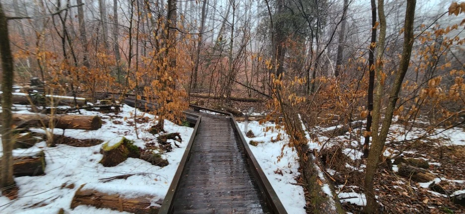 20230113_124101.jpg?type=w1