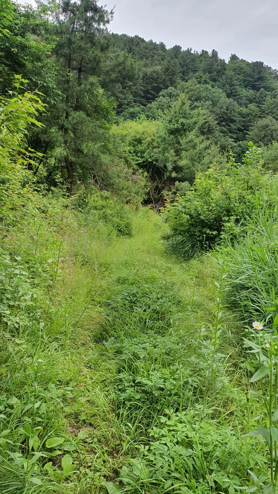 20210615_162955.jpg?type=w1