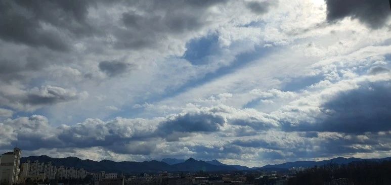 20220326_160812.jpg?type=w773