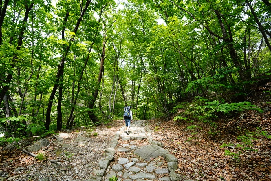 _DSC3907.jpg?type=w1