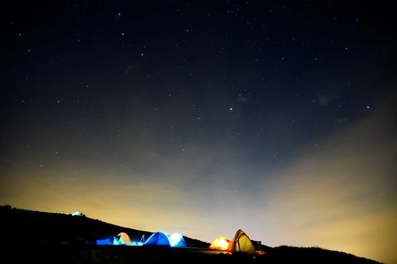 _DSC3289_filtered.jpg?type=w773