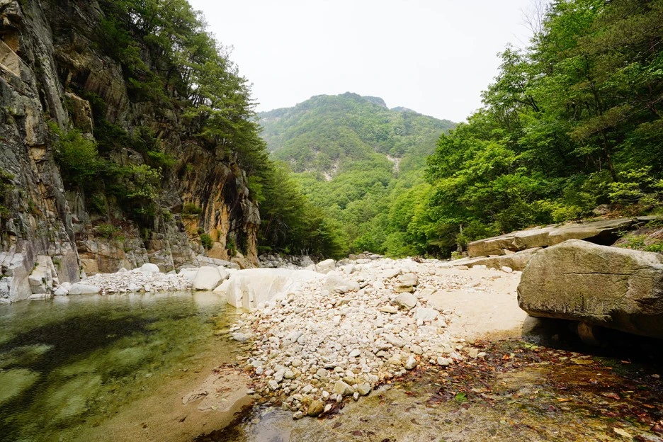 _DSC3946.jpg?type=w1