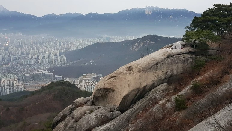 20181118_070453.jpg?type=w773