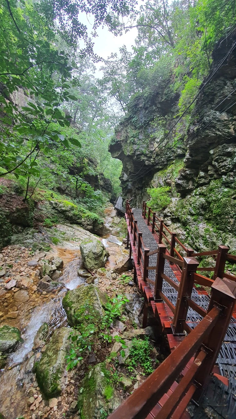 20200912_083542.jpg?type=w773